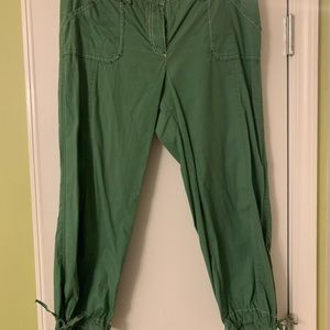 Ann Taylor Loft Capri Pants